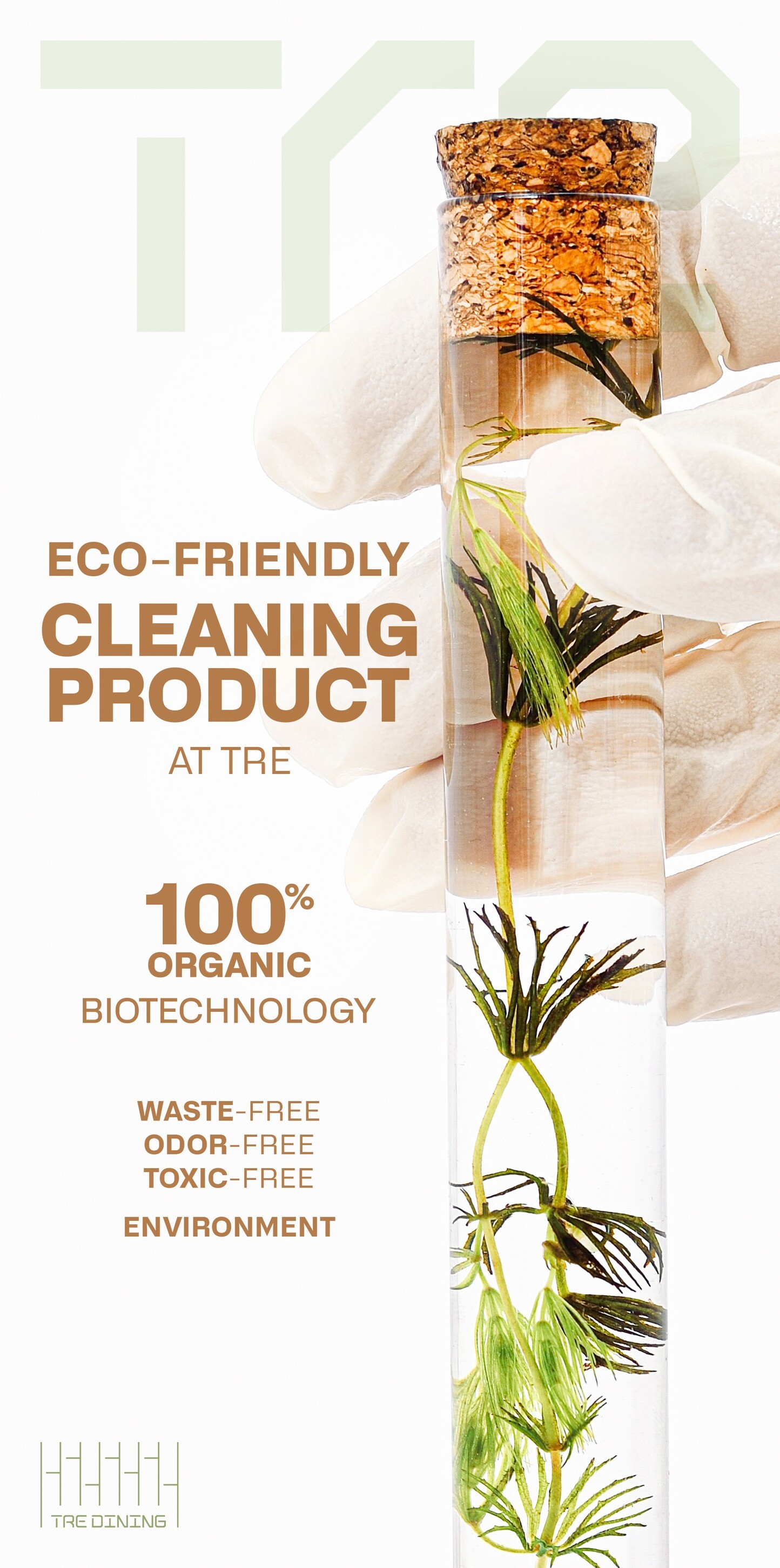 B Bright Food & Beverage 4