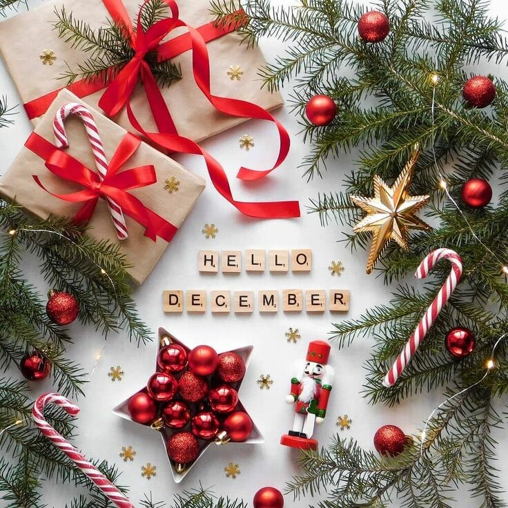 Công Ty TNHH Dad Quốc Tế 8