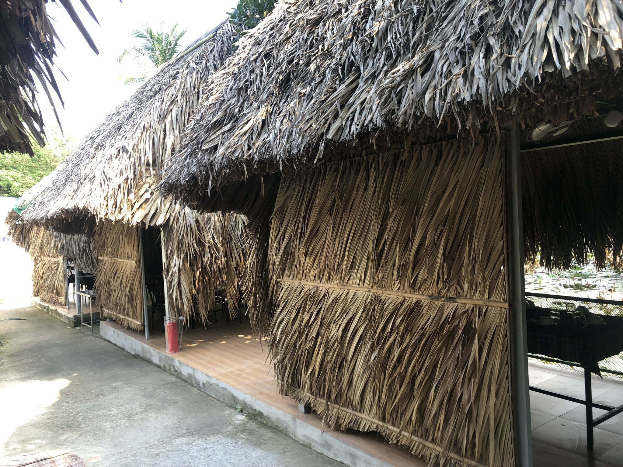 Ẩm Thực Thiên Phú 5