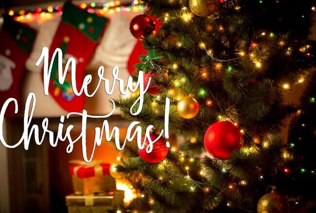 Giáo Dục Quốc Tế Việt Thành 2