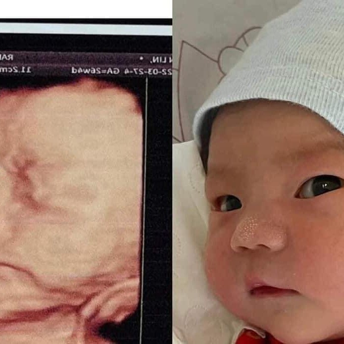 Việt Phúc Sài Gòn 8