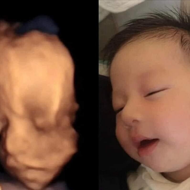 Việt Phúc Sài Gòn 6