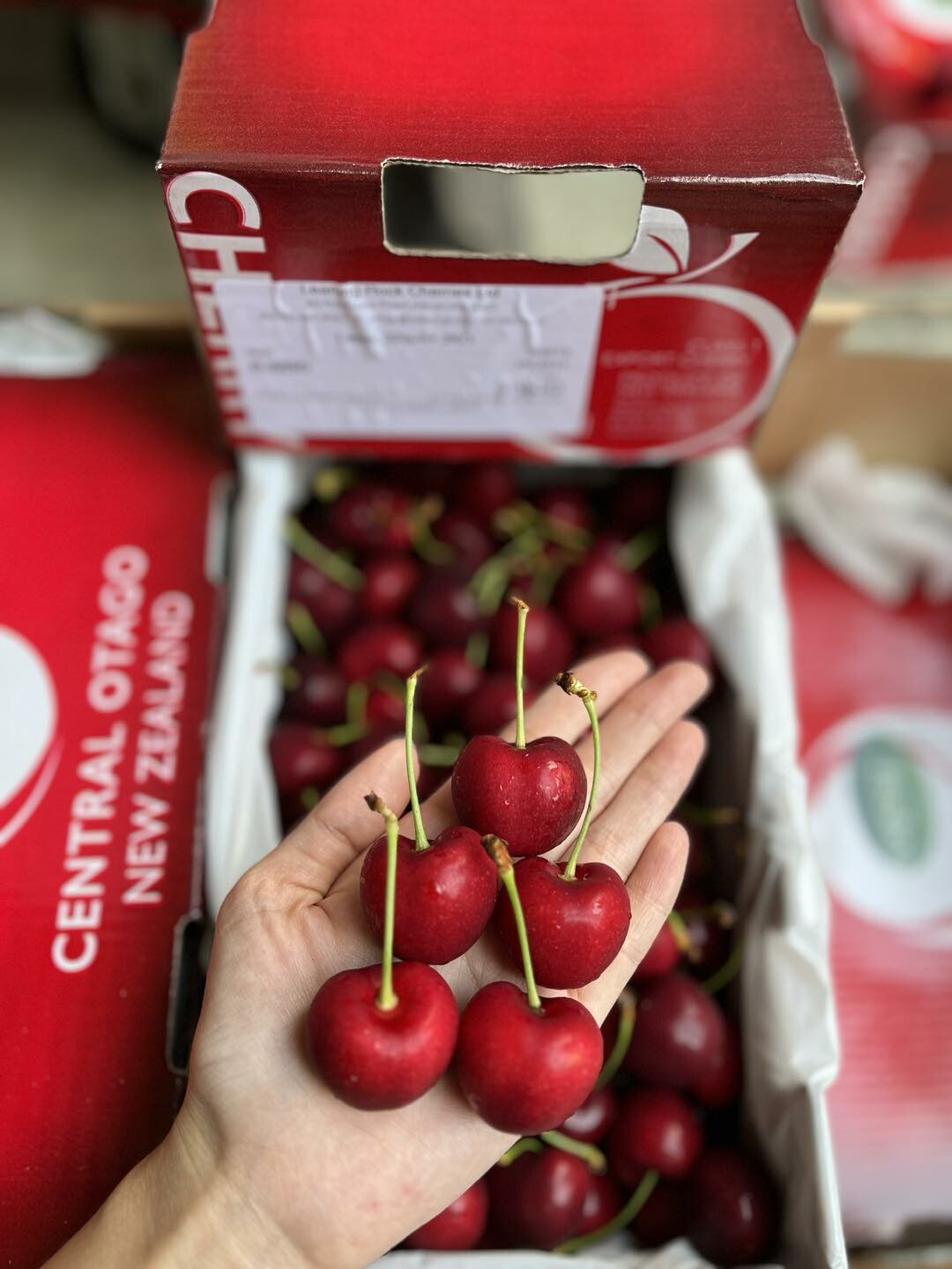 Công Ty TNHH TM XNK Nguyễn Huy 6