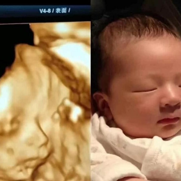 Việt Phúc Sài Gòn 9