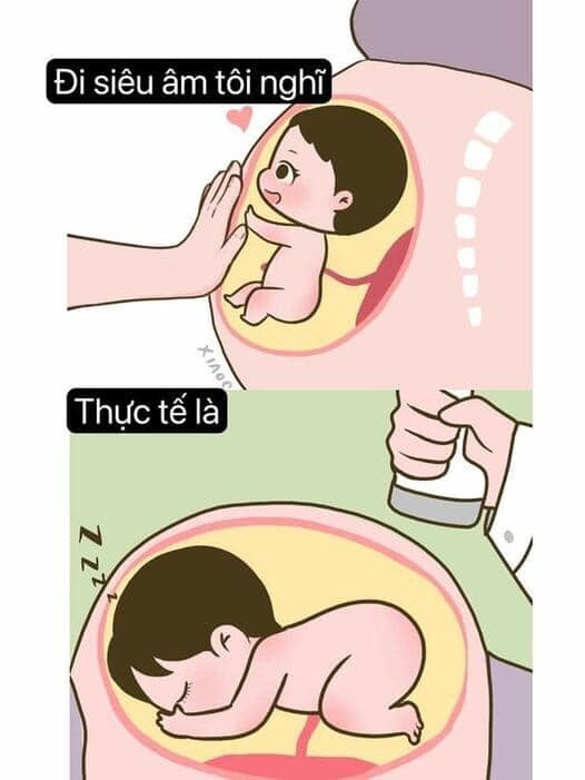 Việt Phúc Sài Gòn 5