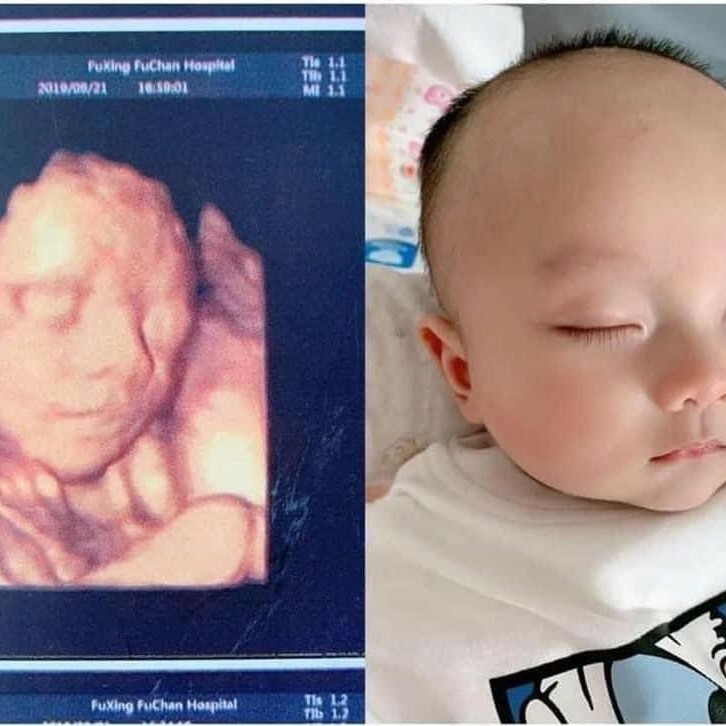 Việt Phúc Sài Gòn 7