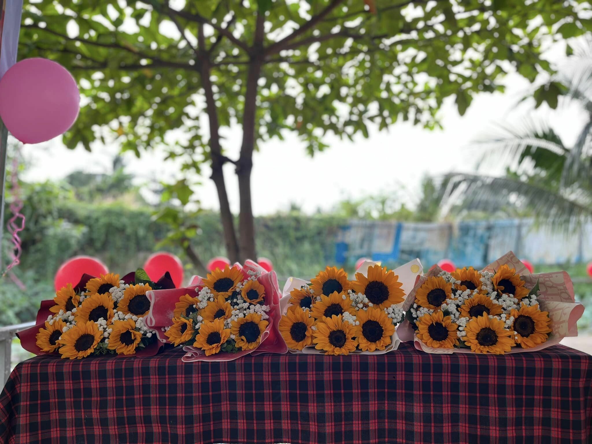 Ẩm Thực Thiên Phú 6