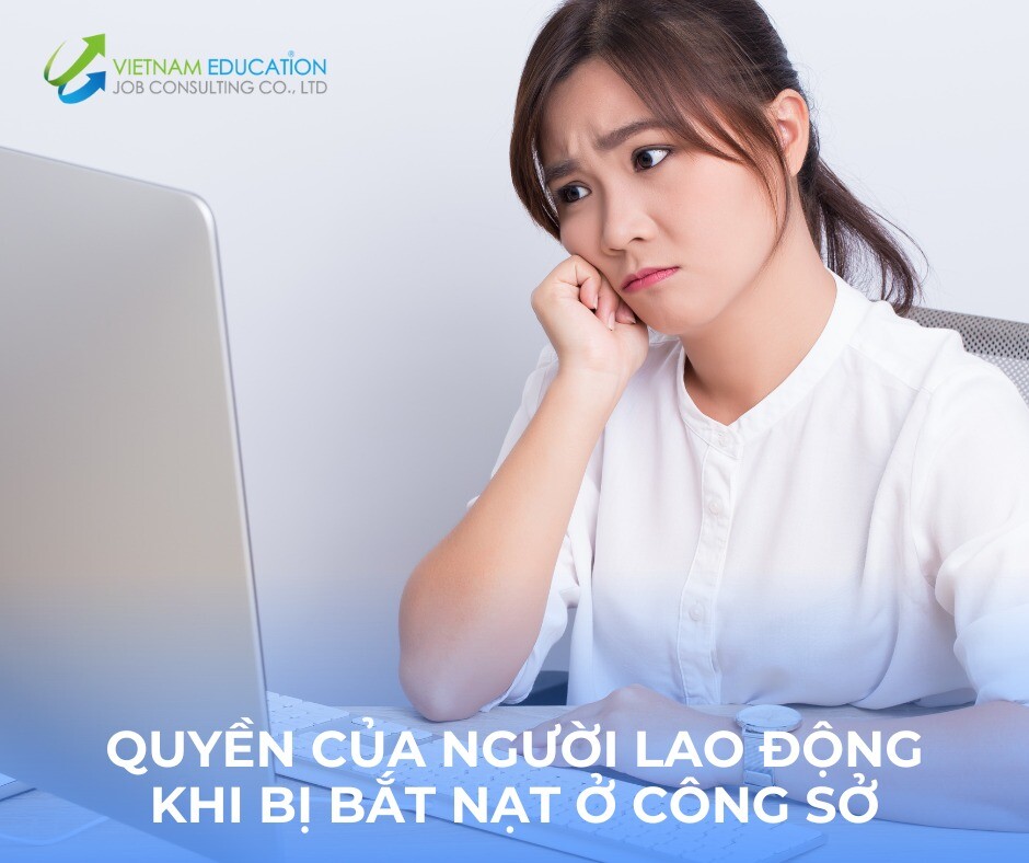 Tư Vấn Giáo Dục Việc Làm Việt Nam 3