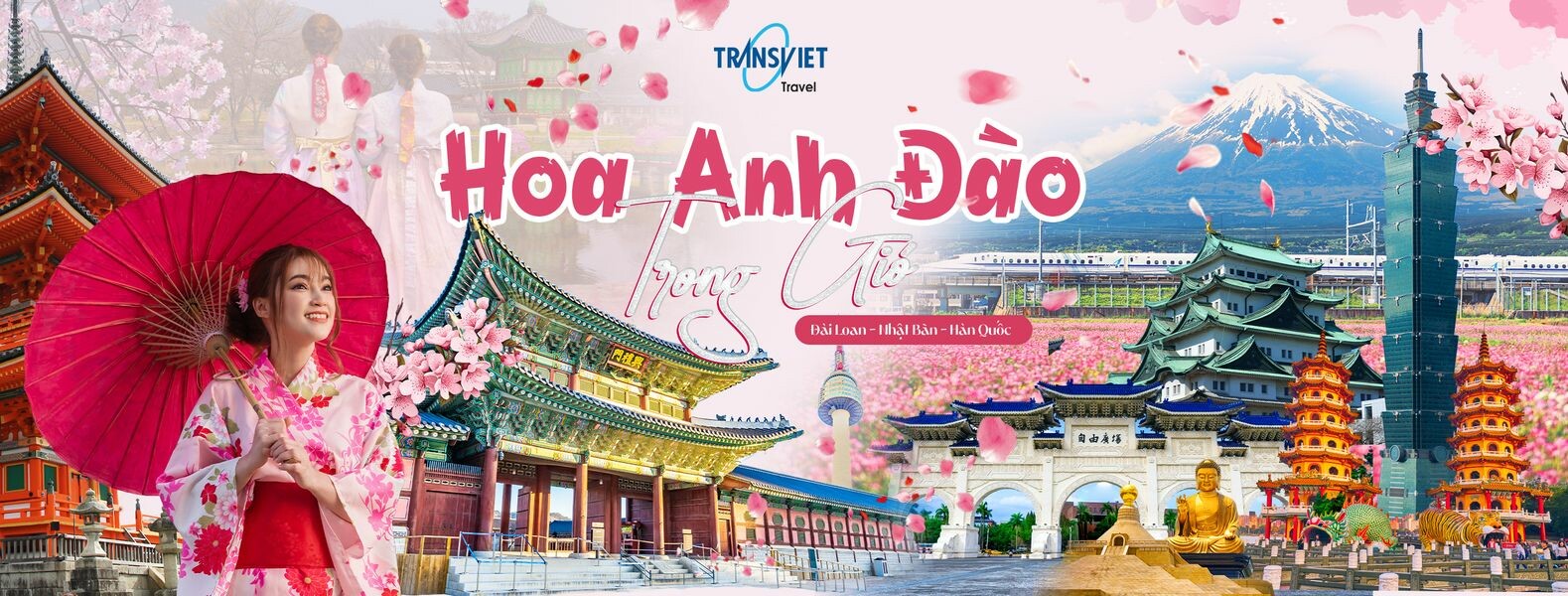 Trần Việt Phát 6