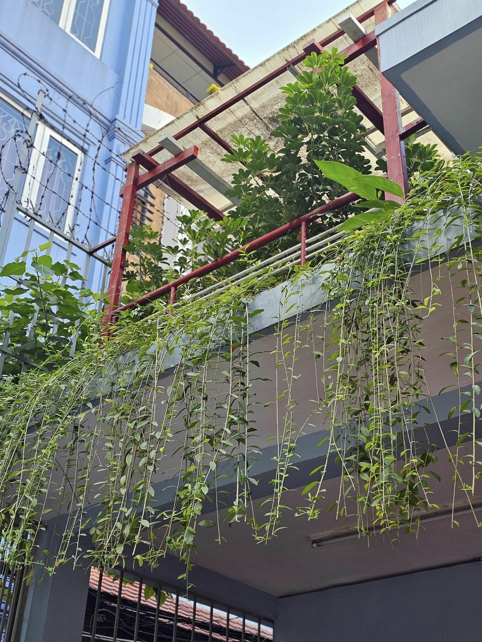 Kiểm toán KTC SCS Việt Nam 5