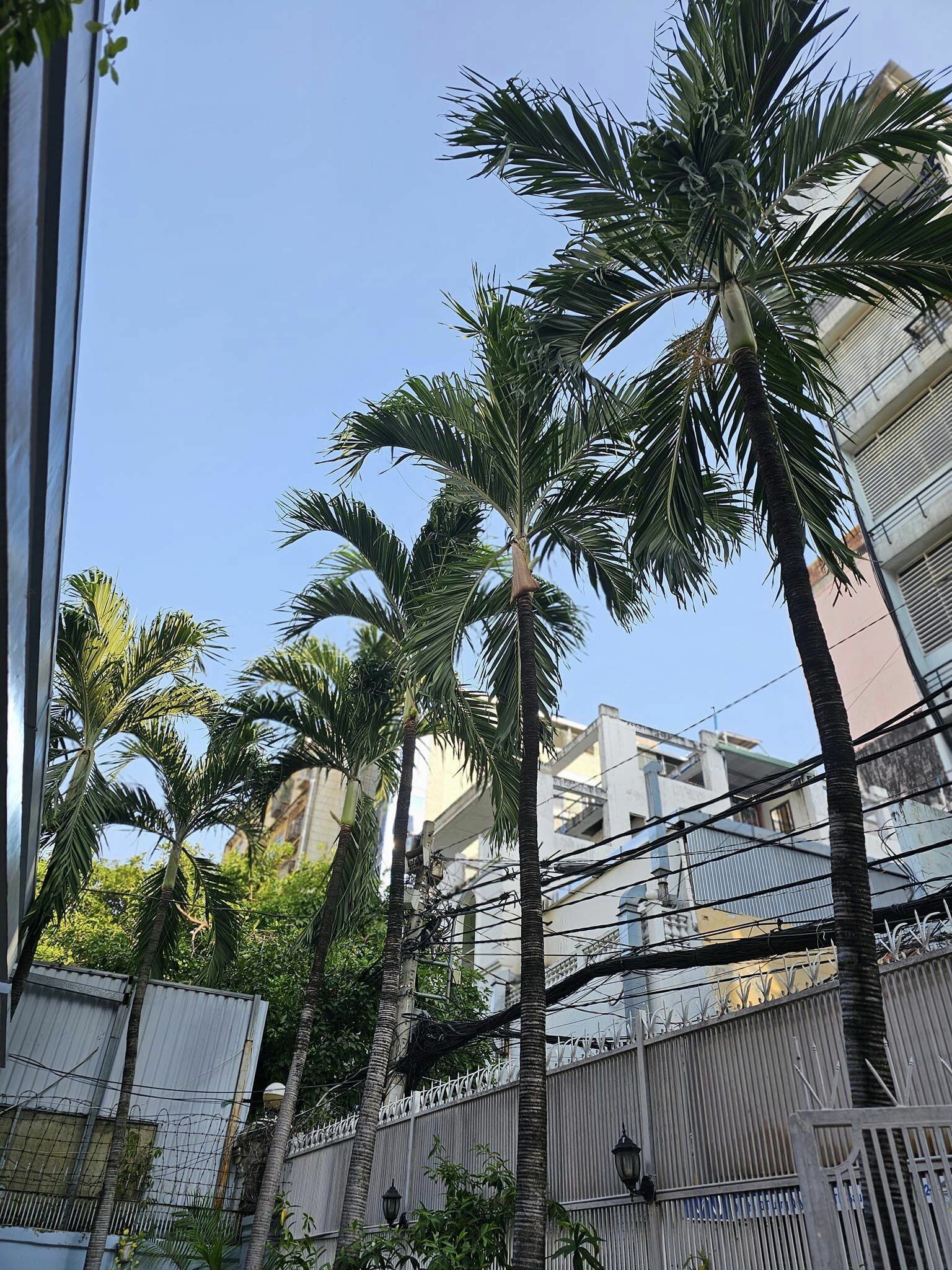 Kiểm toán KTC SCS Việt Nam 2