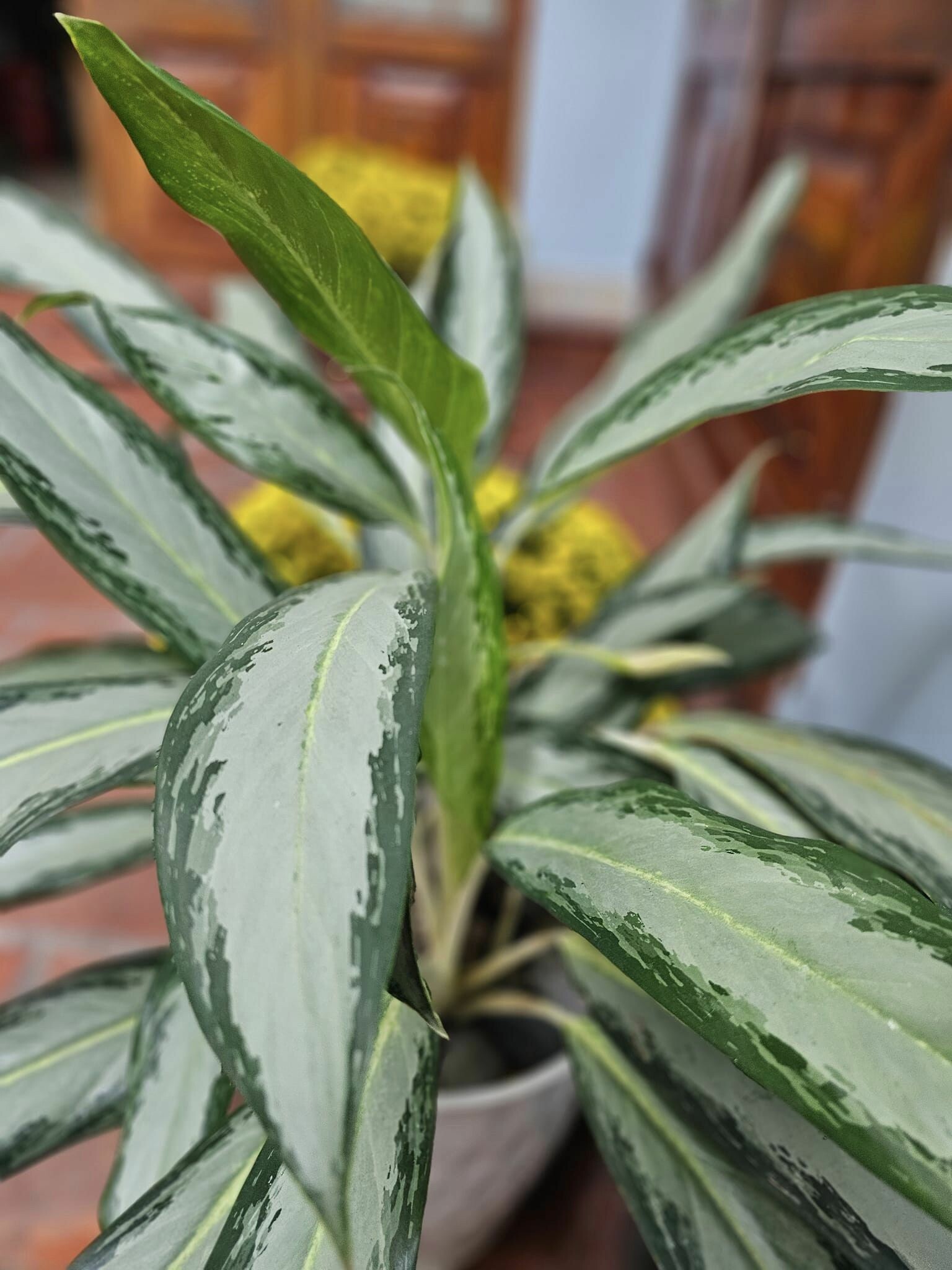 Kiểm toán KTC SCS Việt Nam 3