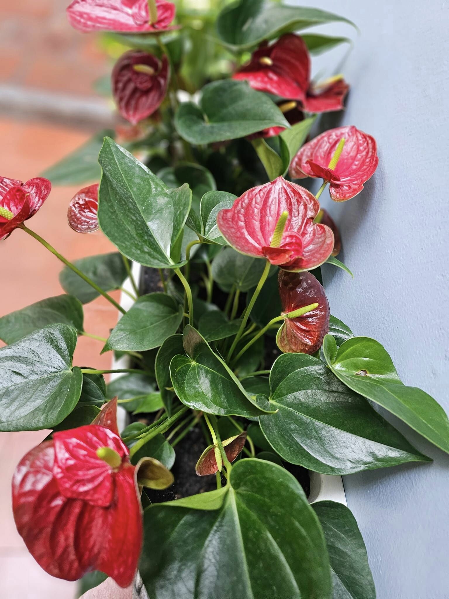 Kiểm toán KTC SCS Việt Nam 4