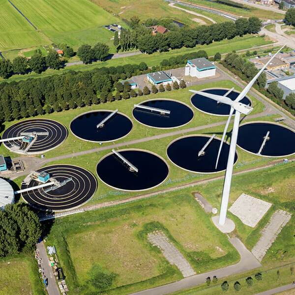 Jacobi Carbons Việt Nam 7