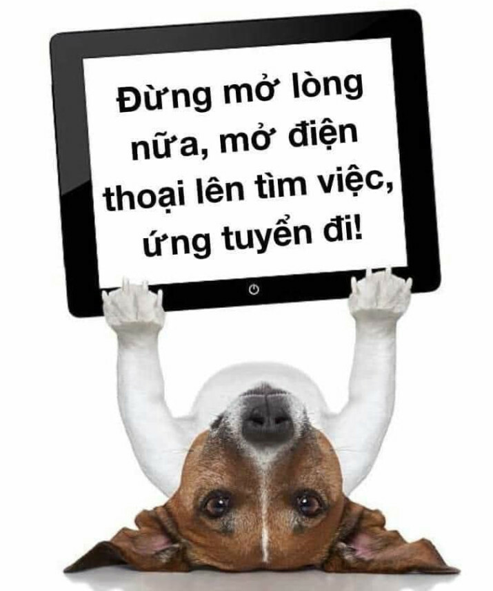 Genbyte Technology 2