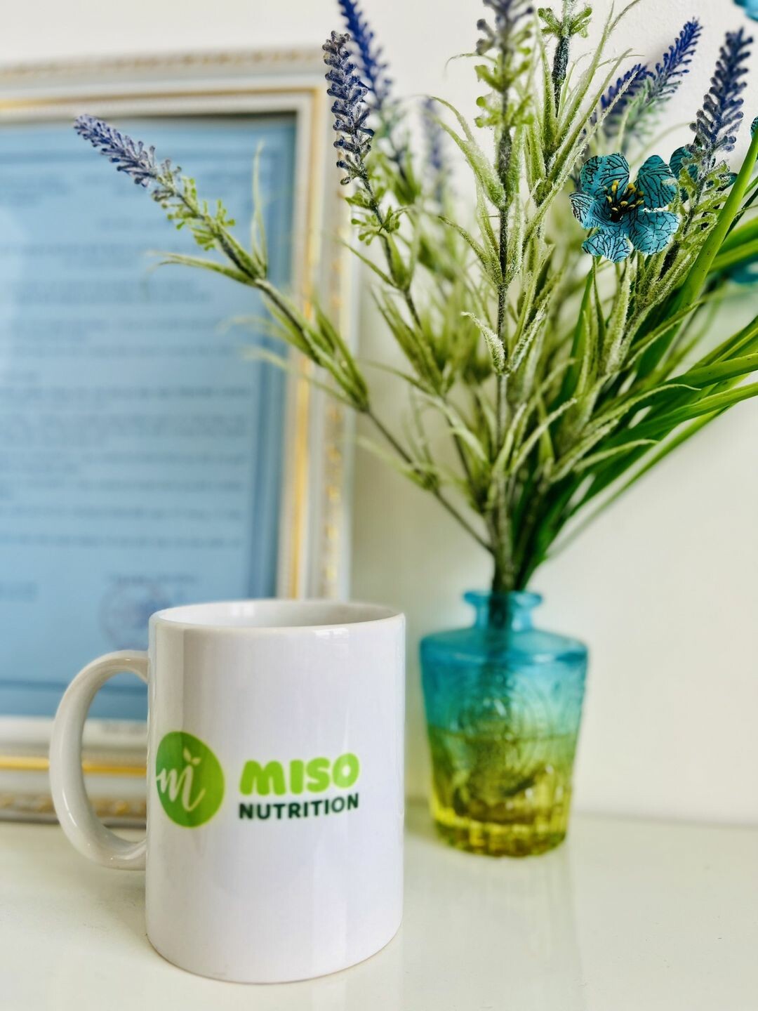 MISO NUTRITION 10