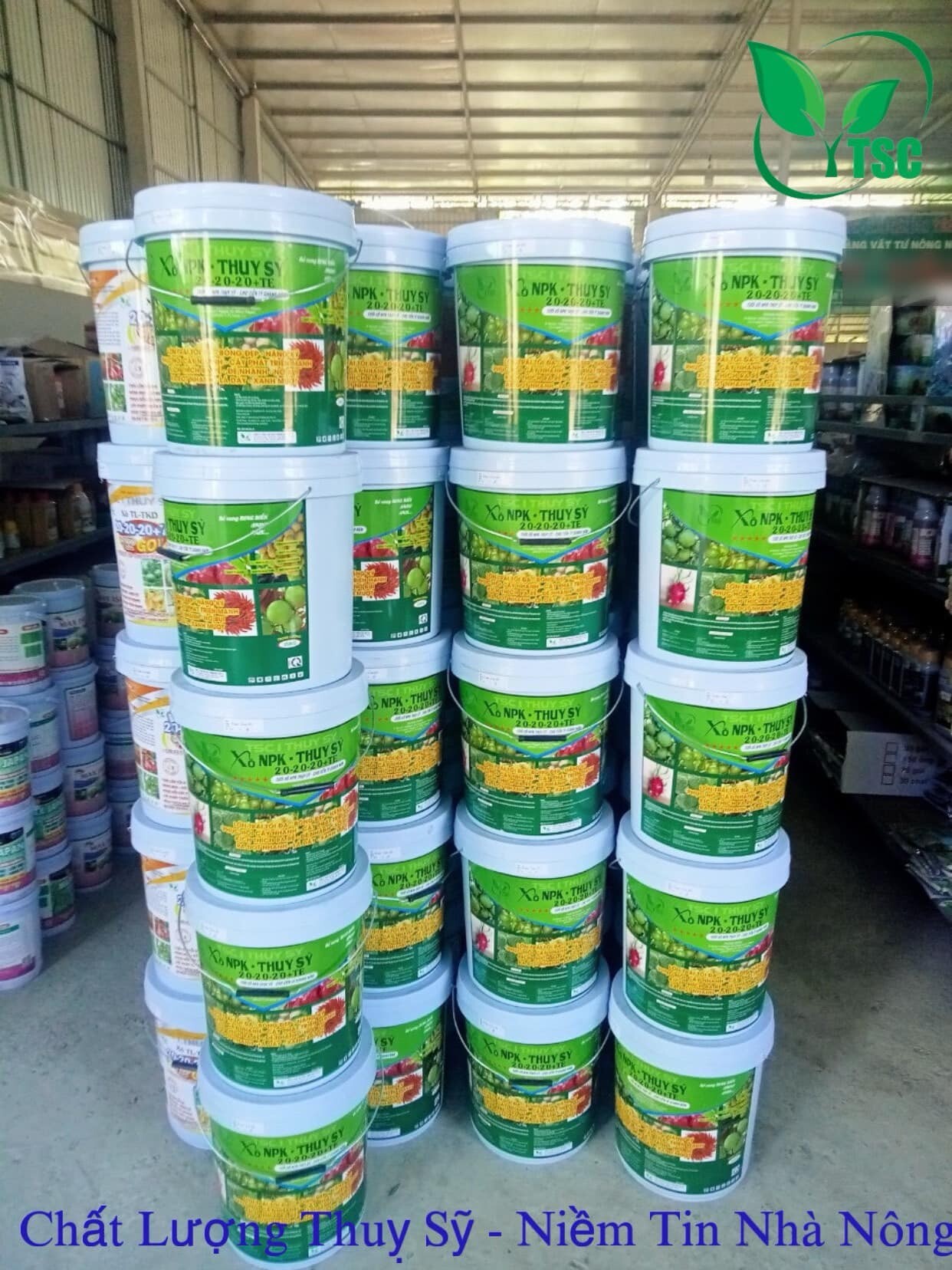 Sản Xuất Thương Mại Thụy Sỹ 2