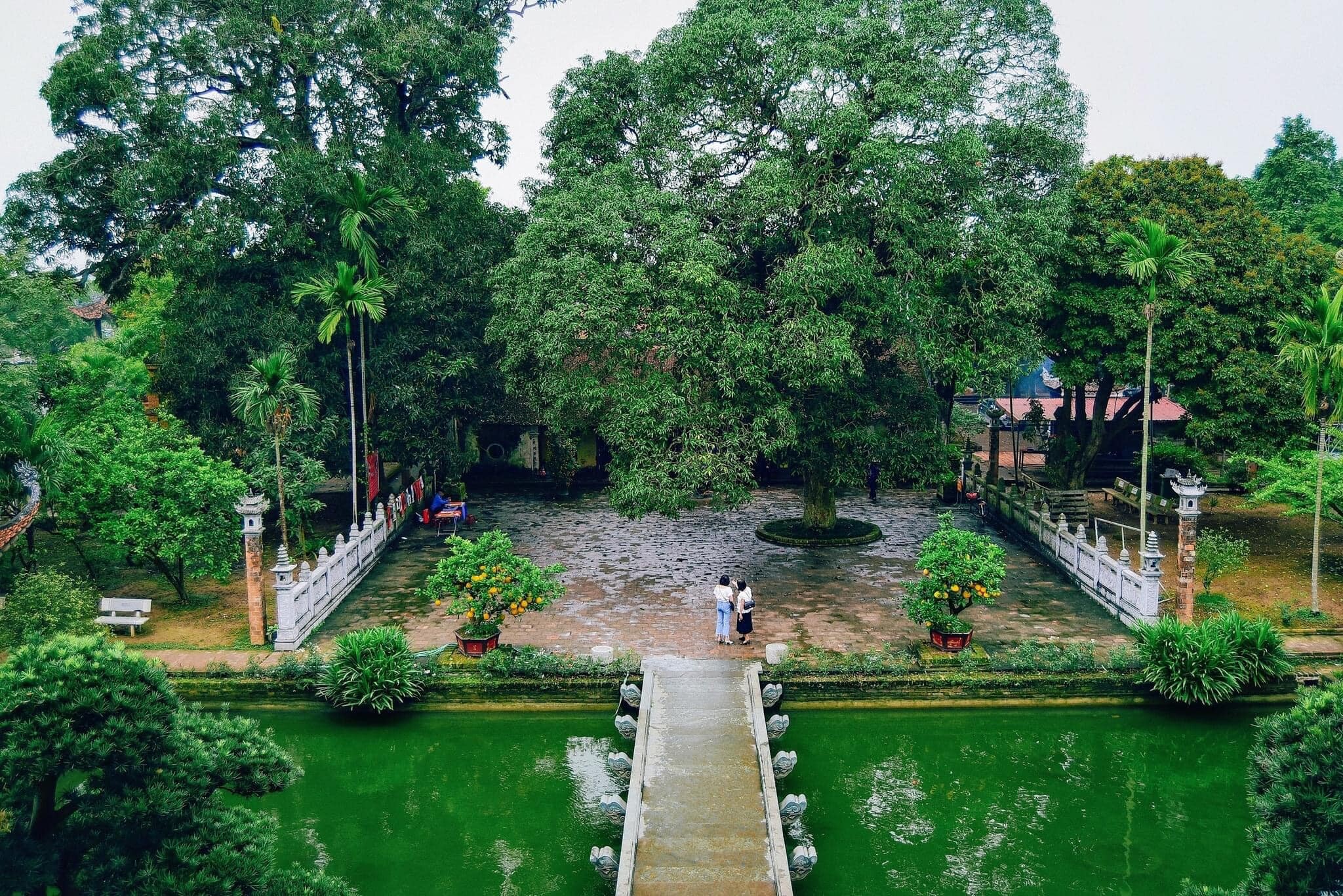 Đầu Tư Skyline Việt Nam 9