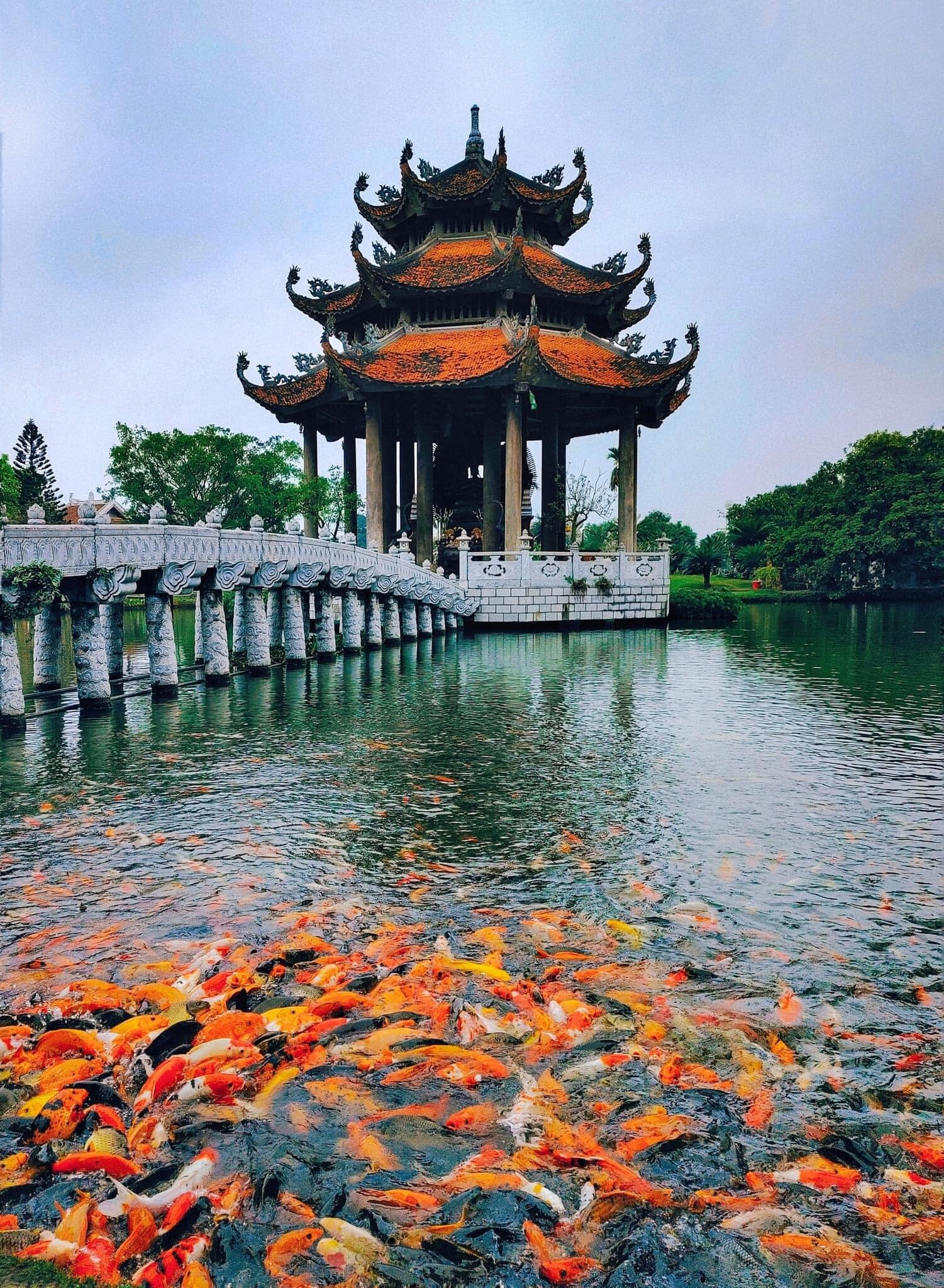 Đầu Tư Skyline Việt Nam 11