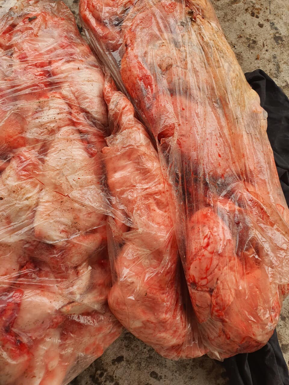 TM & XNK ÁNH TRANG 9