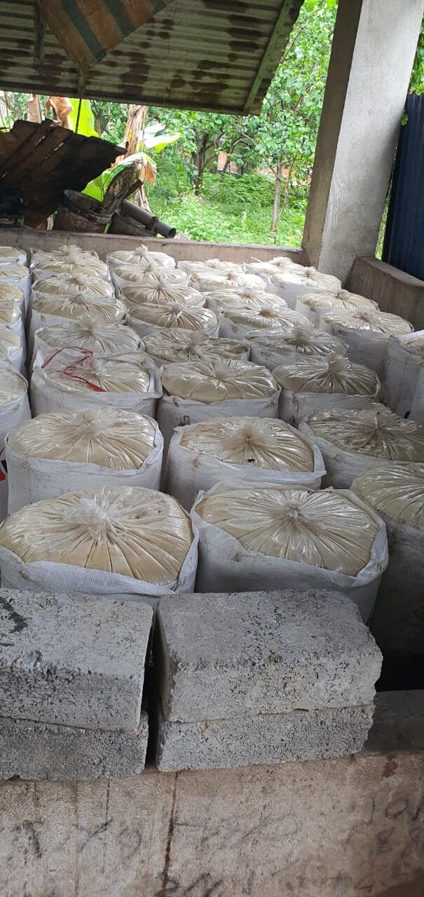 TM & XNK ÁNH TRANG 10