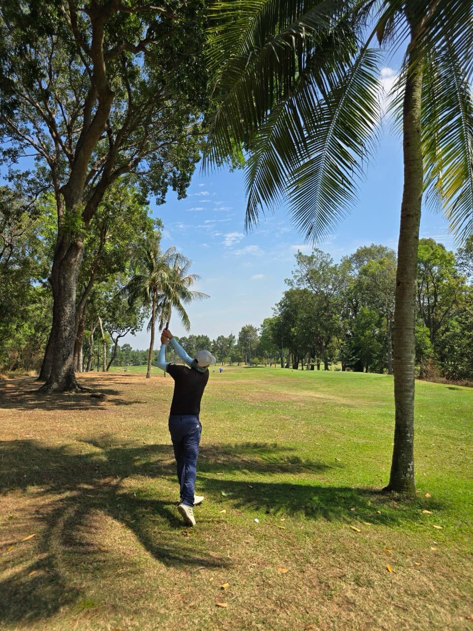 THANG MÁY AGUSTIN VIỆT NAM 6