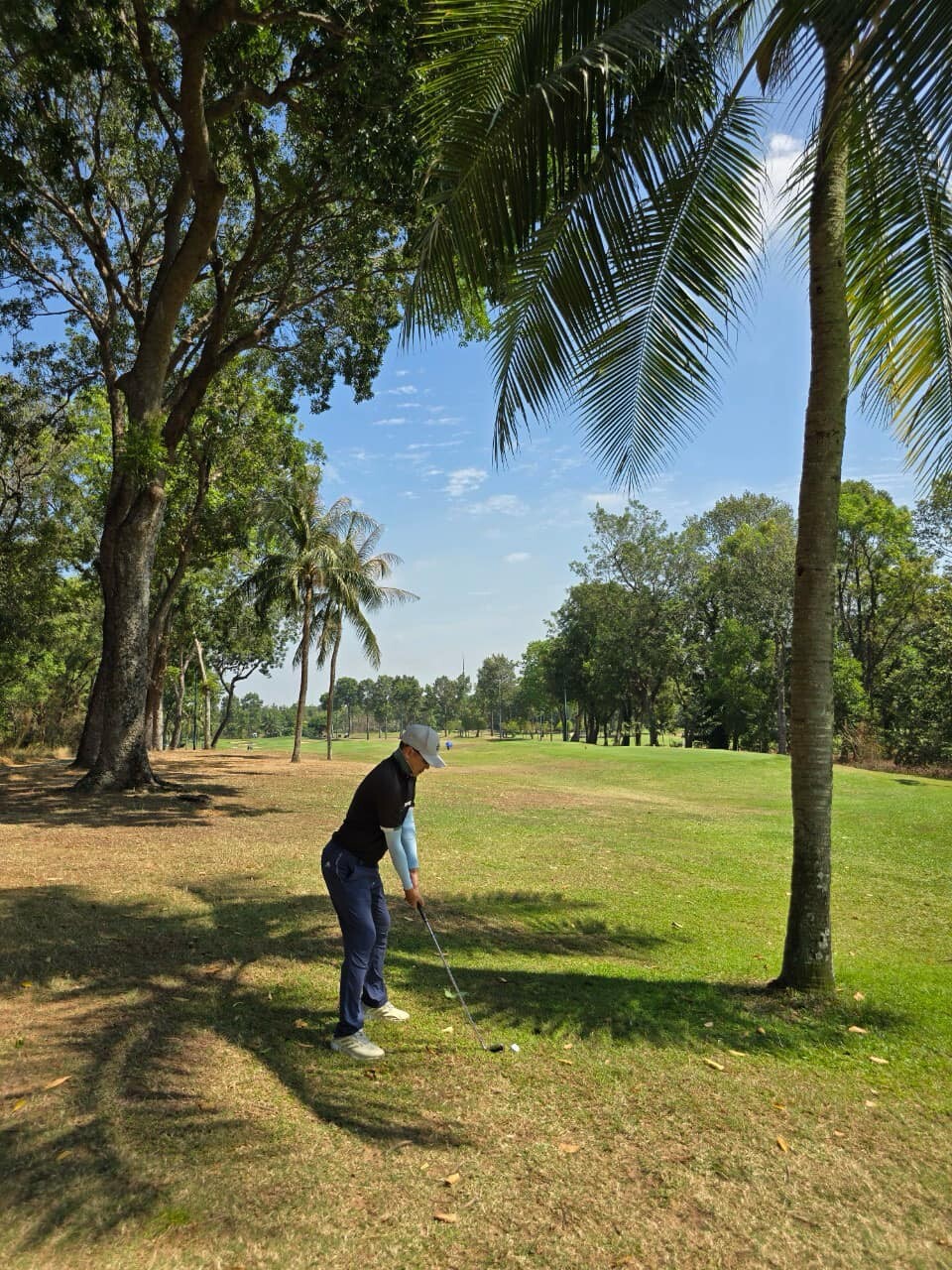 THANG MÁY AGUSTIN VIỆT NAM 8