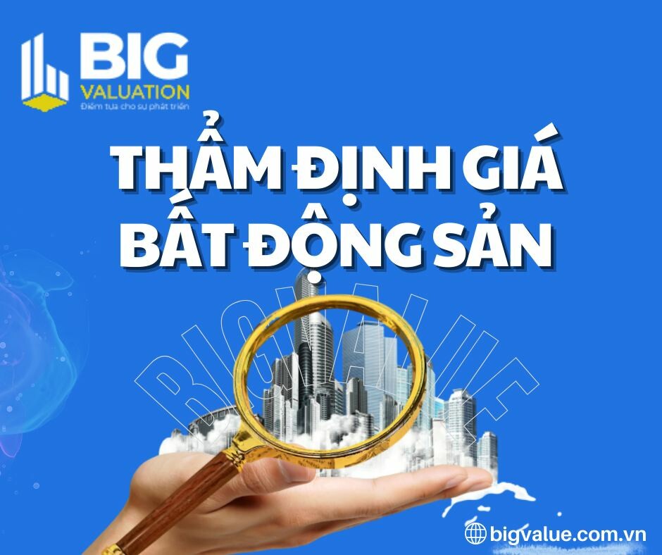 Thẩm Định Giá Big Việt Nam 1