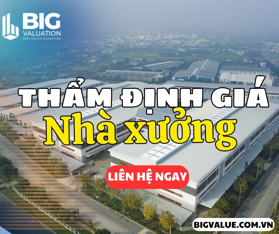 Thẩm Định Giá Big Việt Nam 2