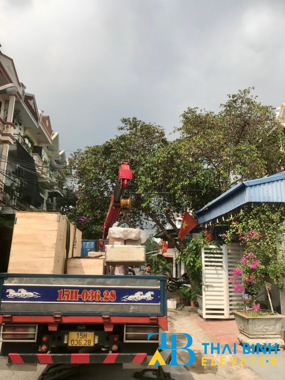 Thang Máy Thái Bình 9