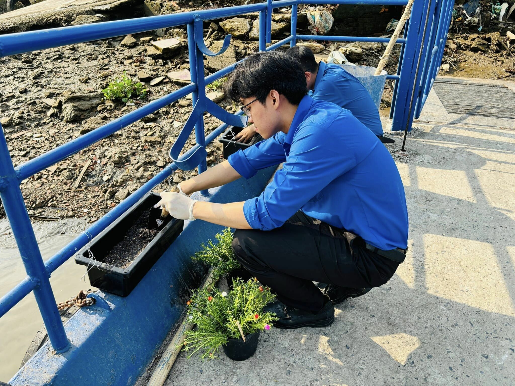 CNS Amura Precision 8