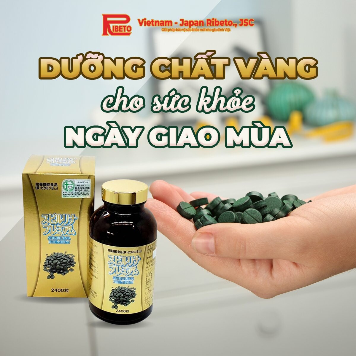 XUẤT NHẬP KHẨU RIBETO NHẬT - VIỆT 3