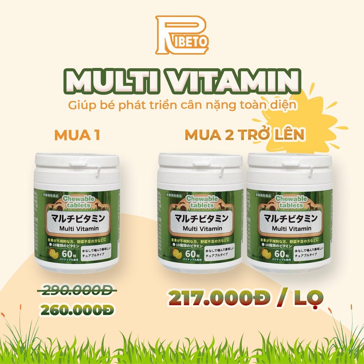 XUẤT NHẬP KHẨU RIBETO NHẬT - VIỆT 6