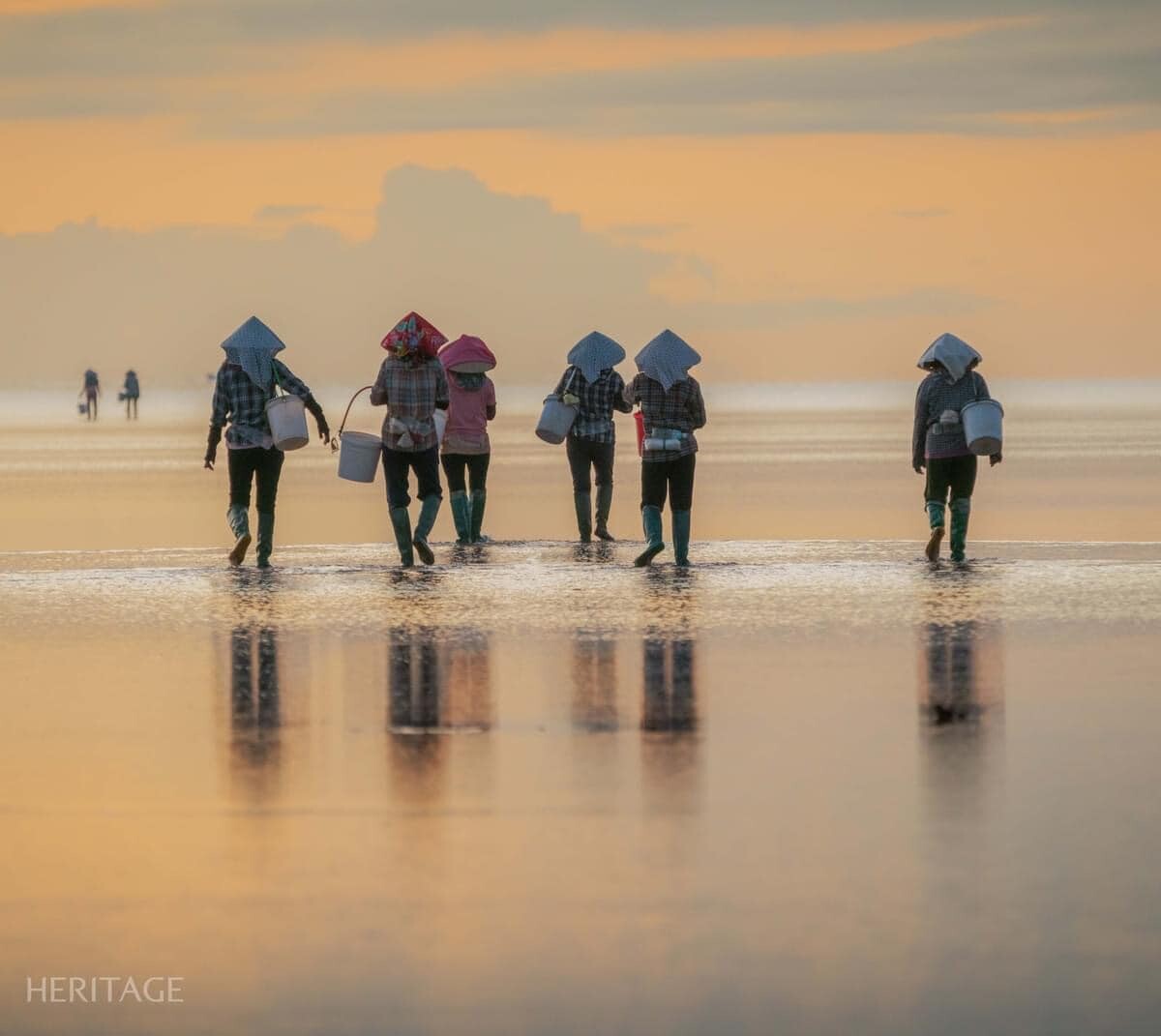 Dịch Vụ Du Lịch Đại Dương Travel 8