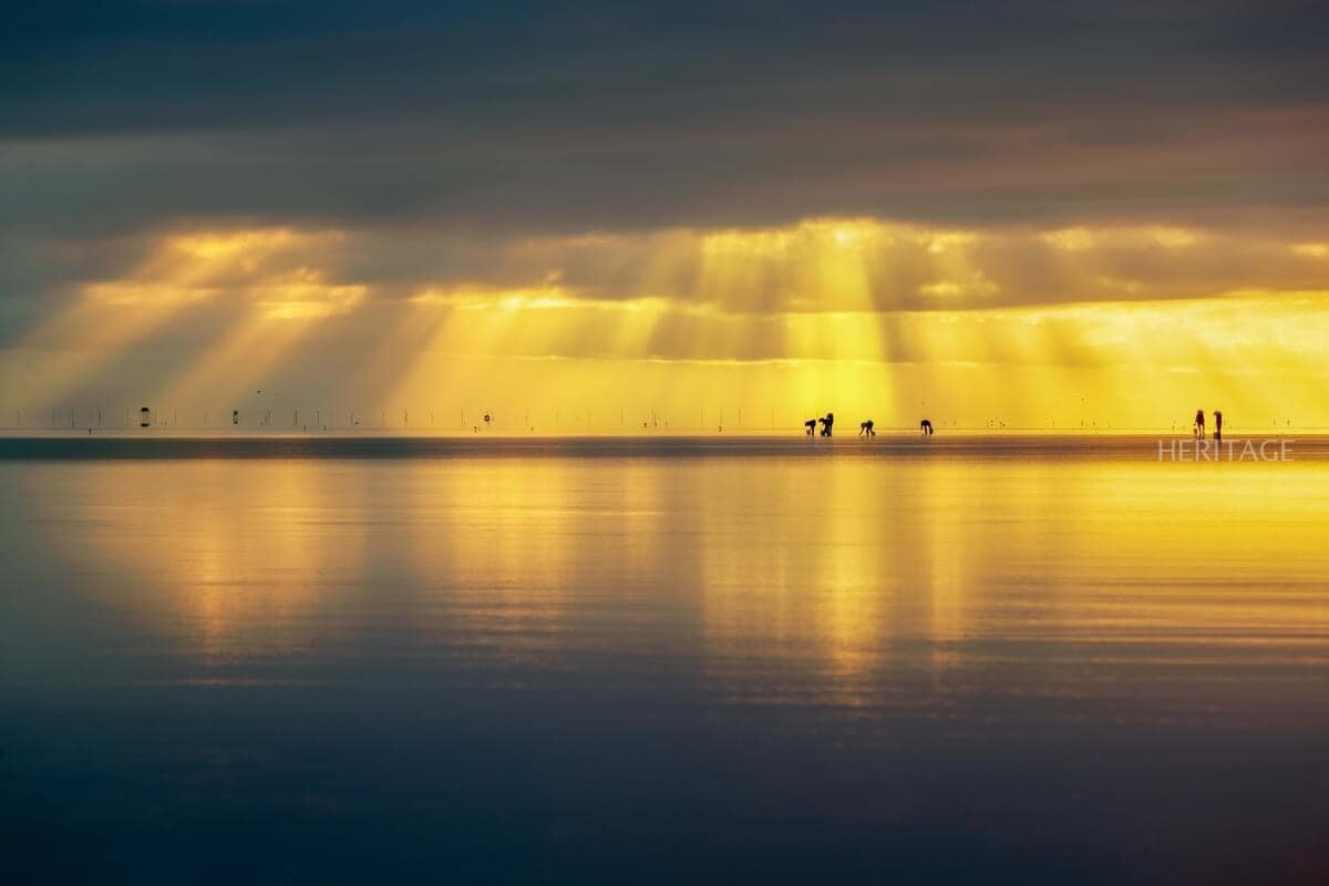 Dịch Vụ Du Lịch Đại Dương Travel 9