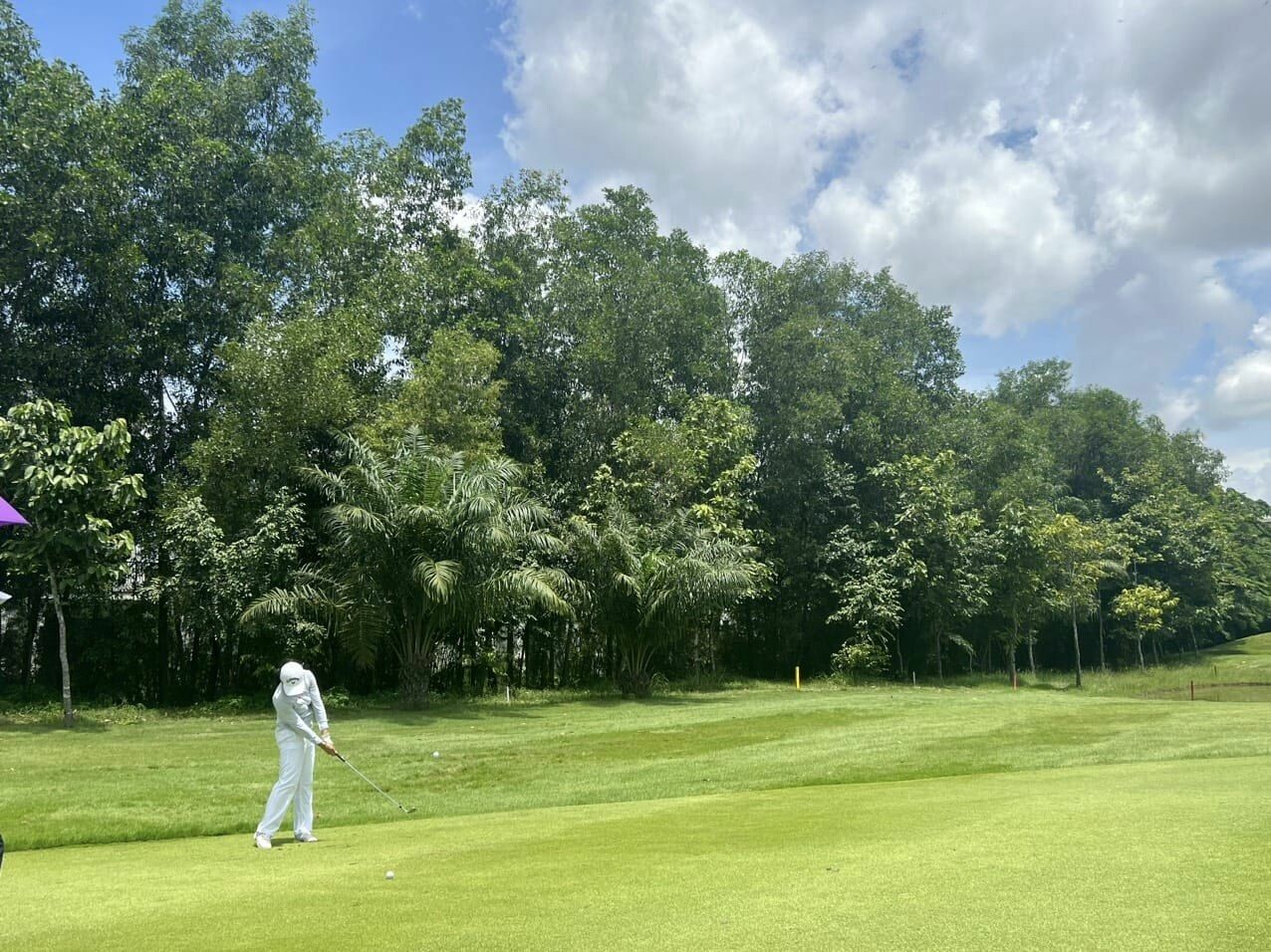 Đầu Tư Quốc Tế C.S.Q 3