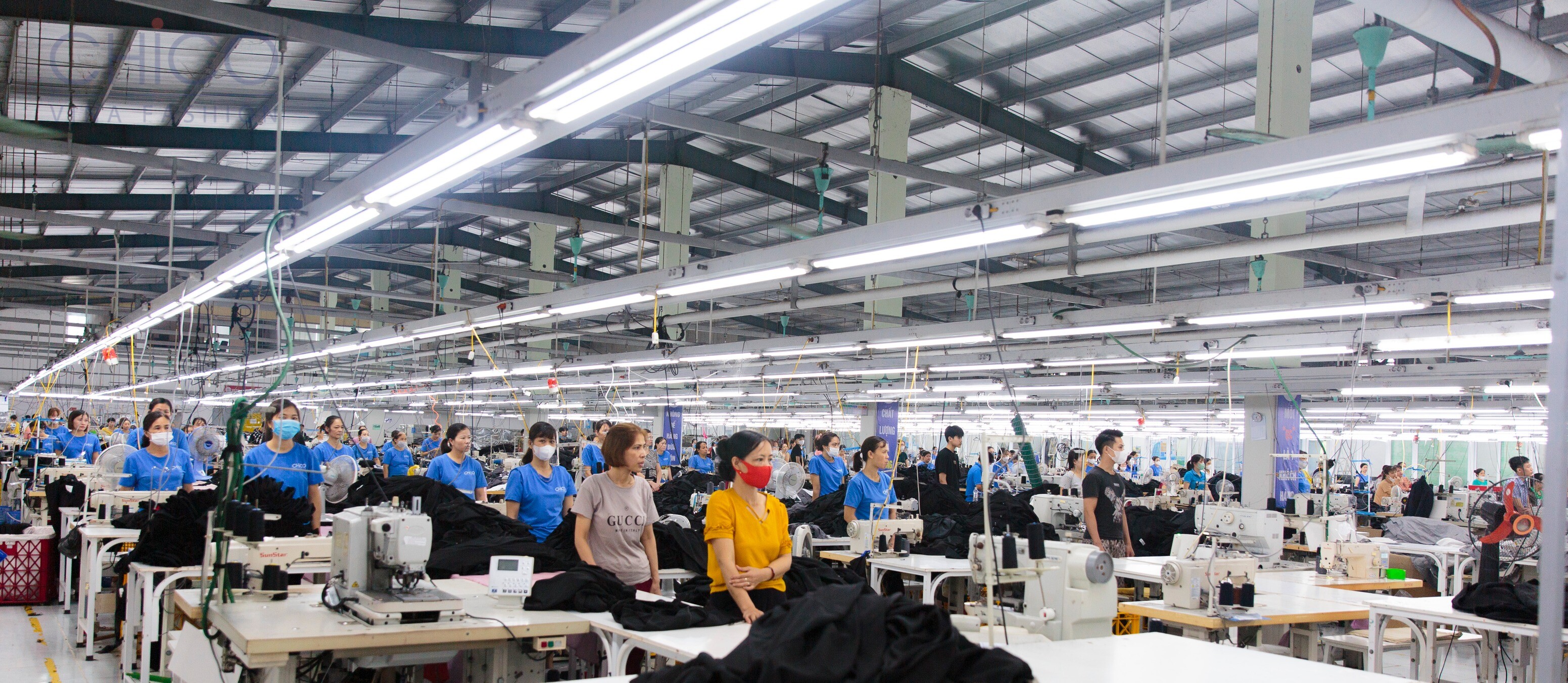 Chico Vina Fashion 5