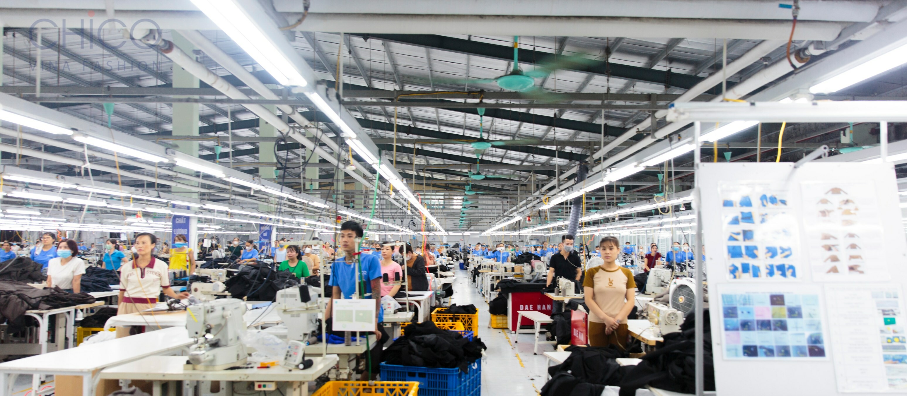 Chico Vina Fashion 7