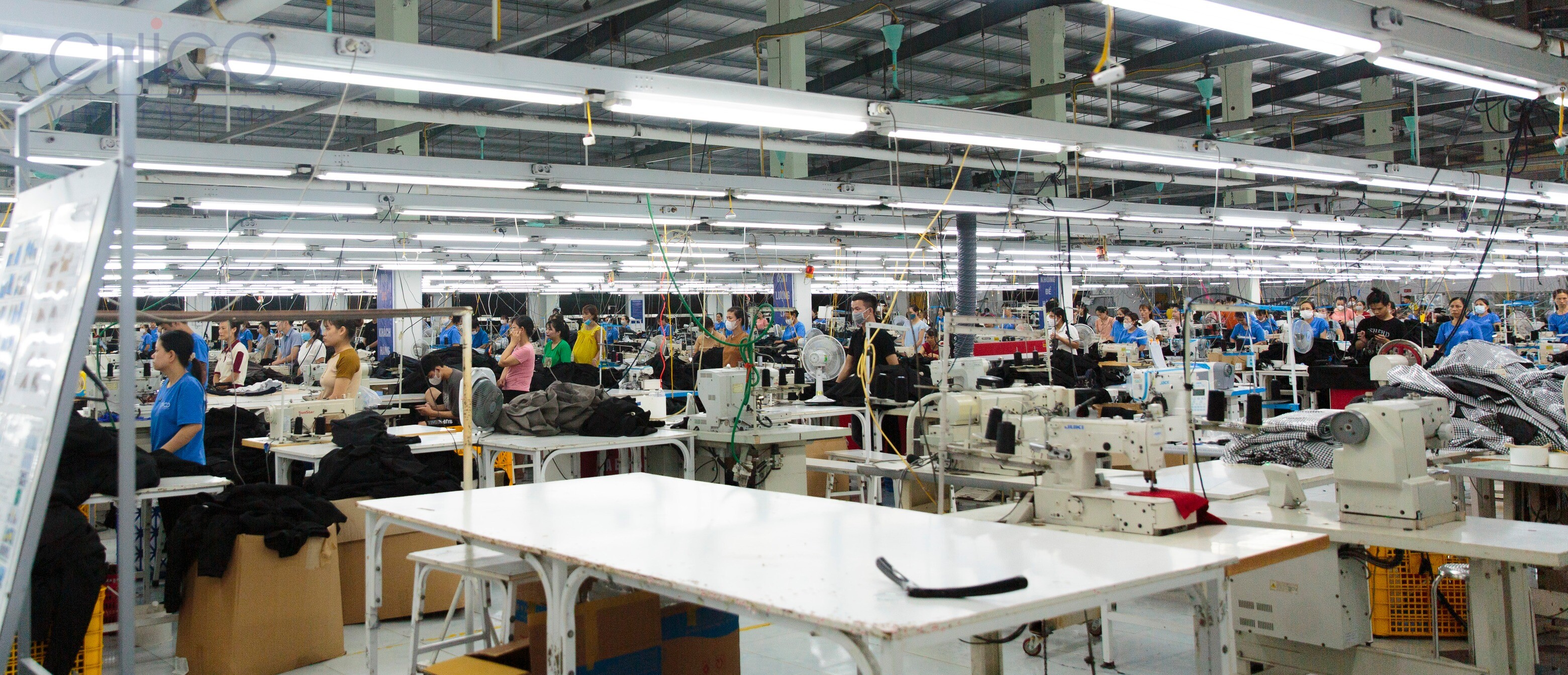 Chico Vina Fashion 6