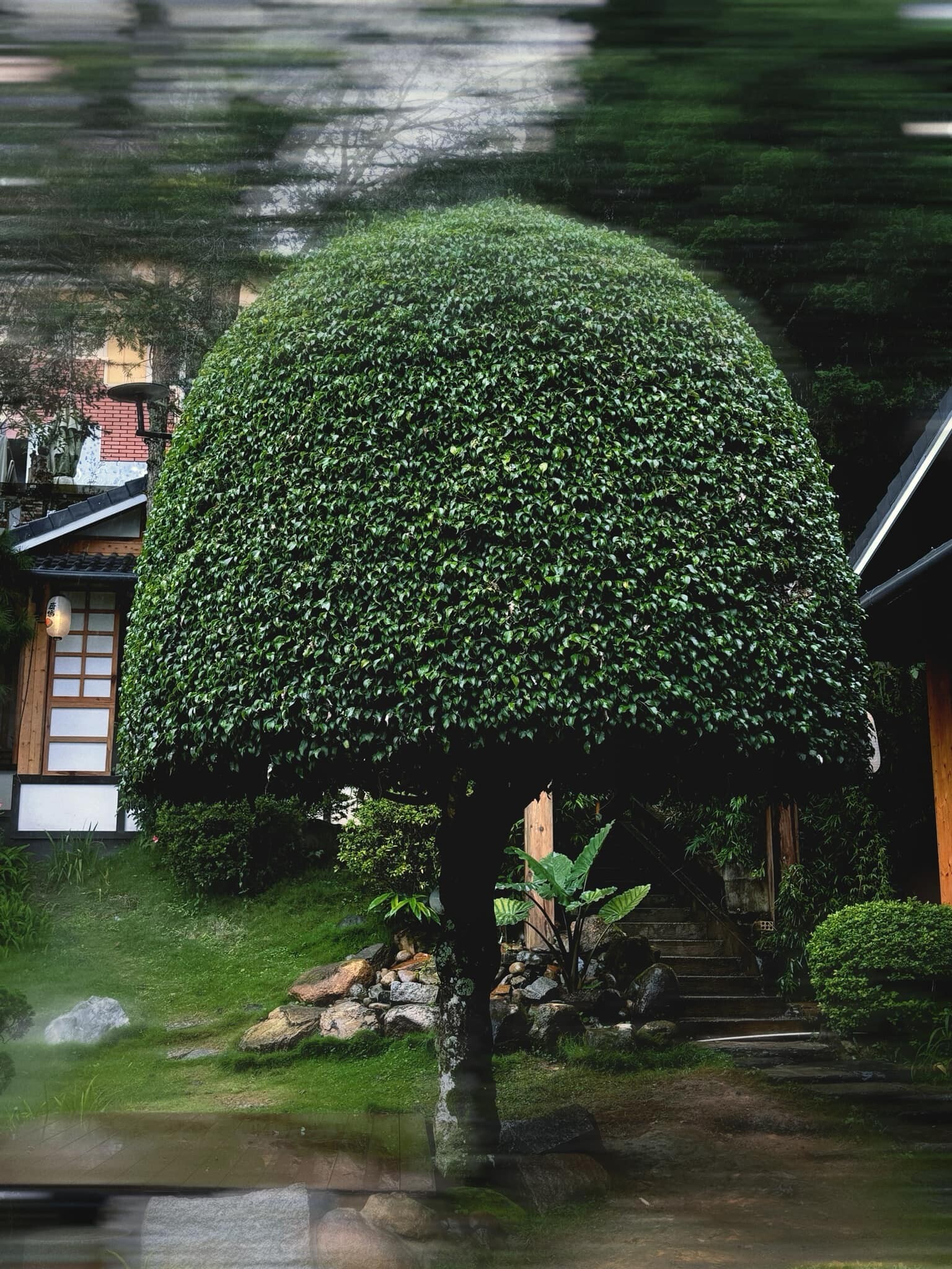 Nhà Hàng Lạt Chay - Vegan Bistro 2