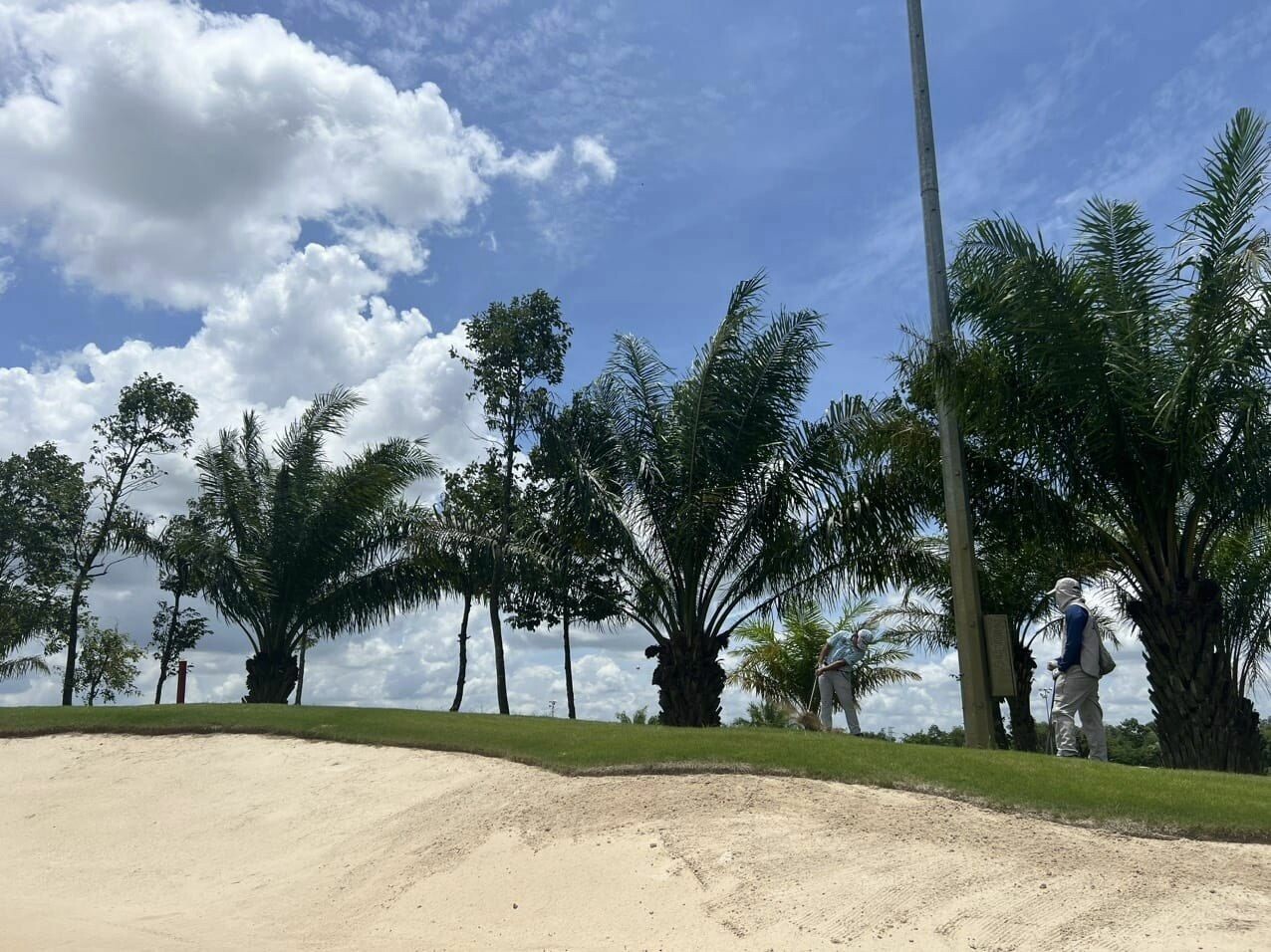 NAM CƯỜNG - Nacol 10