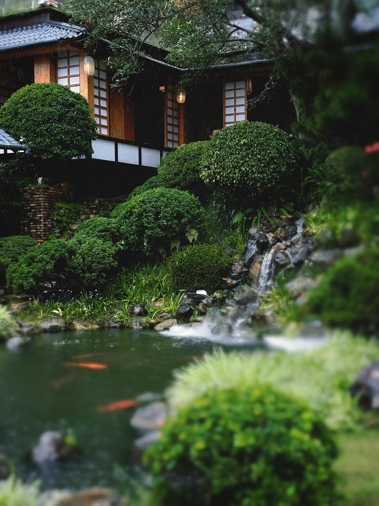 Nhà Hàng Lạt Chay - Vegan Bistro 8