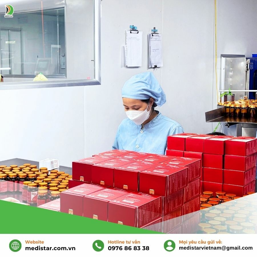 Medistar Việt Nam 10