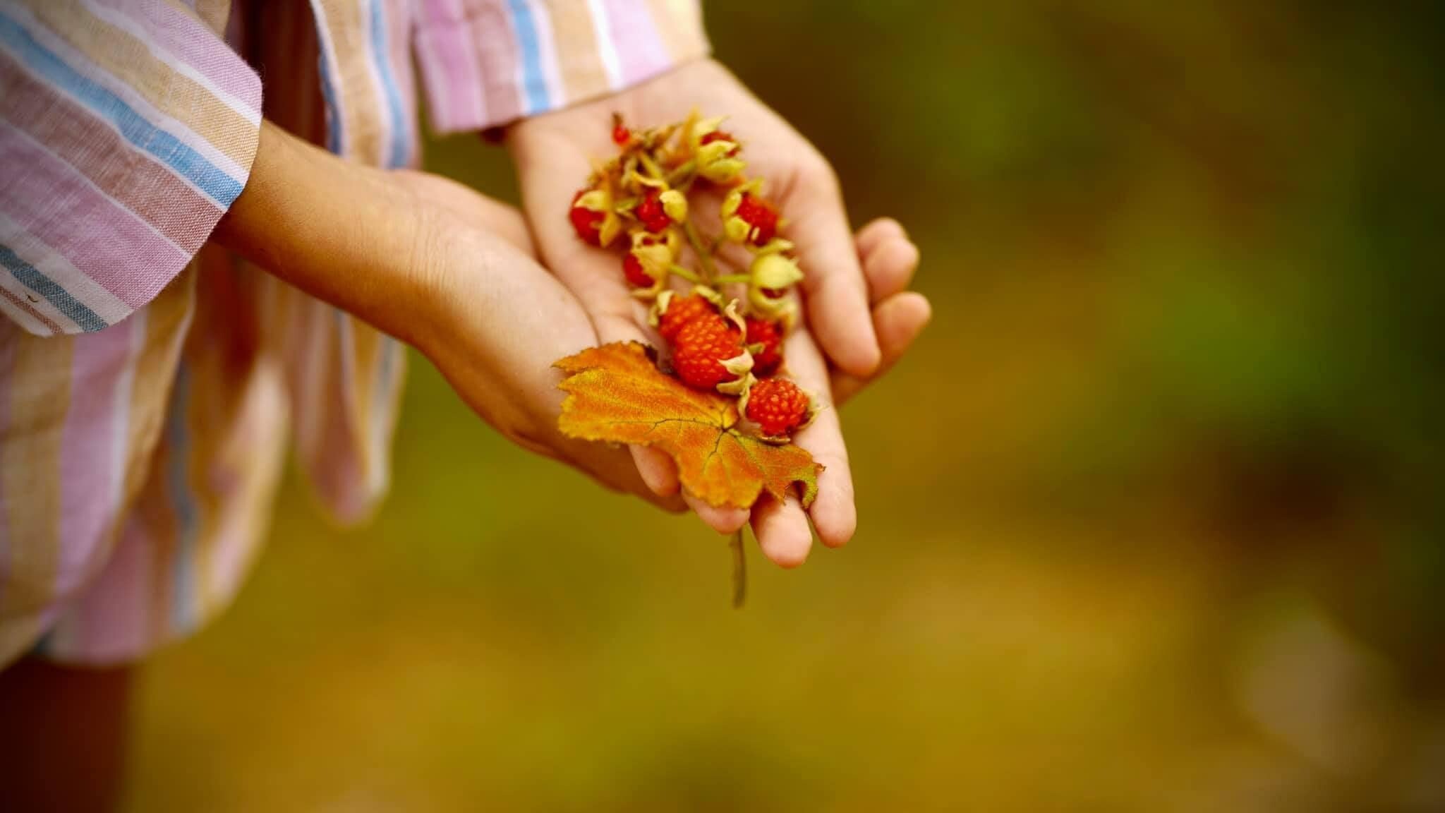 Du Yên Garden Măng Đen 8