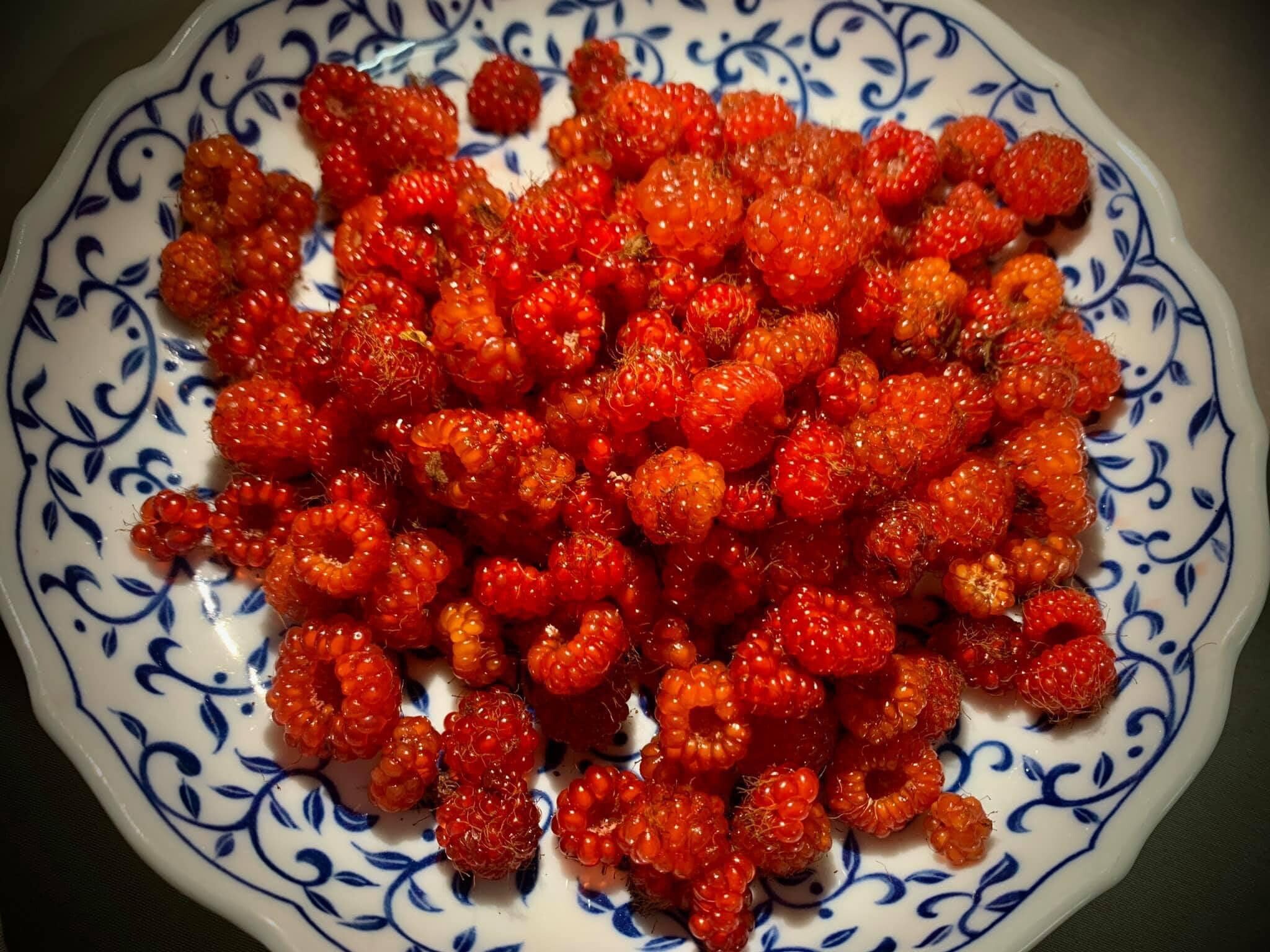 Du Yên Garden Măng Đen 9