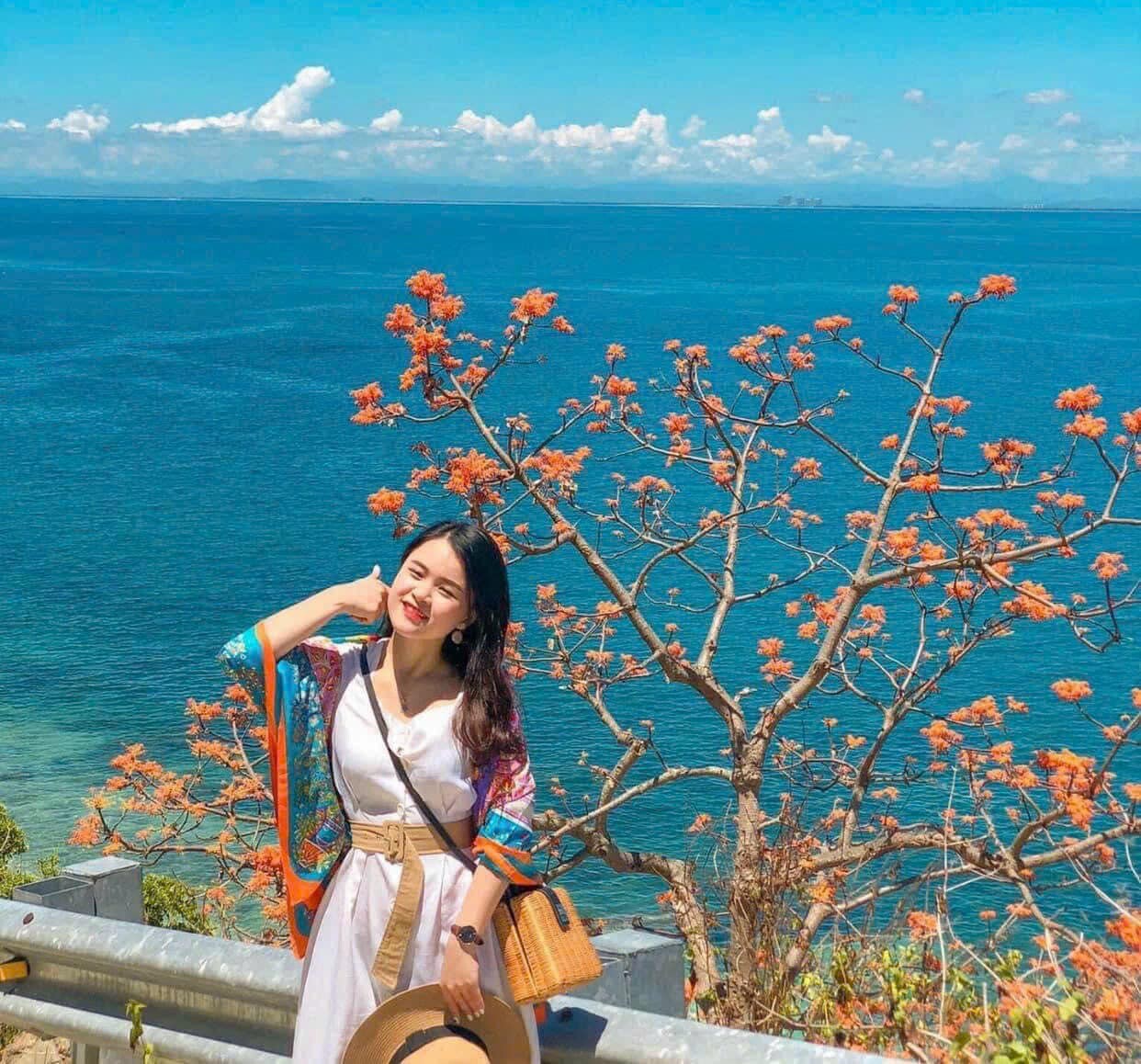 LAND VIỆT TOURIST 2