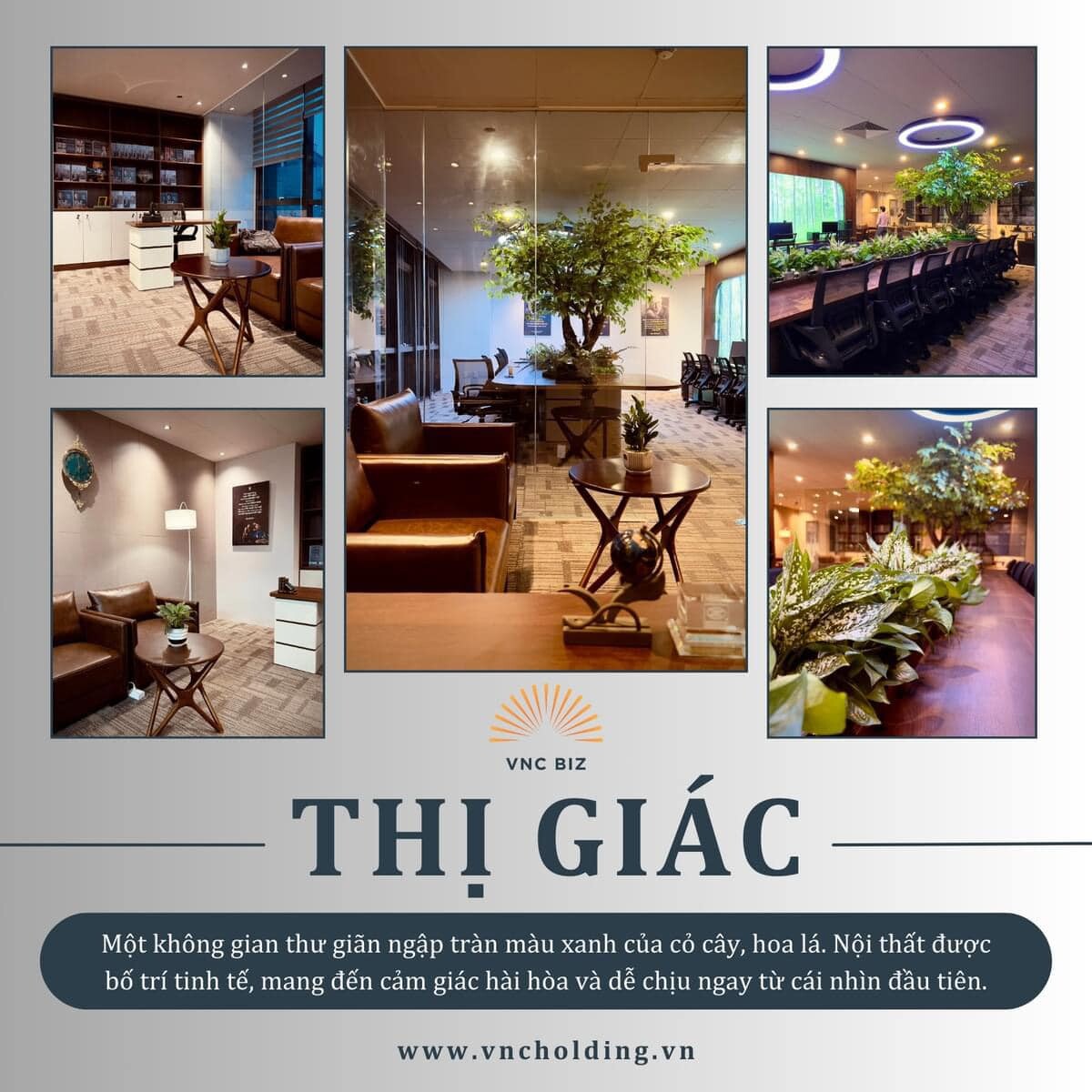 HUẤN LUYỆN VÀ ĐÀO TẠO DOANH NGHIỆP VIỆT  - VNC BIZ 8