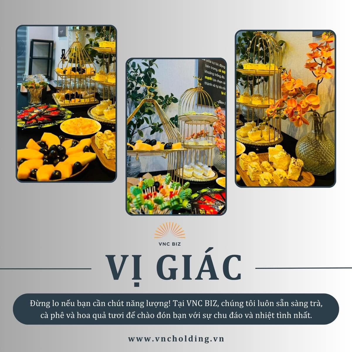 HUẤN LUYỆN VÀ ĐÀO TẠO DOANH NGHIỆP VIỆT  - VNC BIZ 9