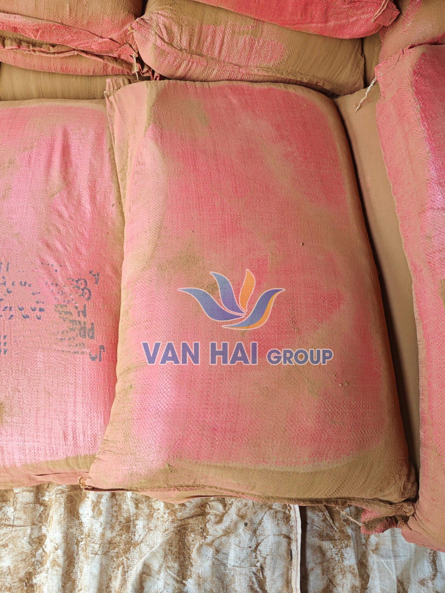 Vạn Hải GROUP 3