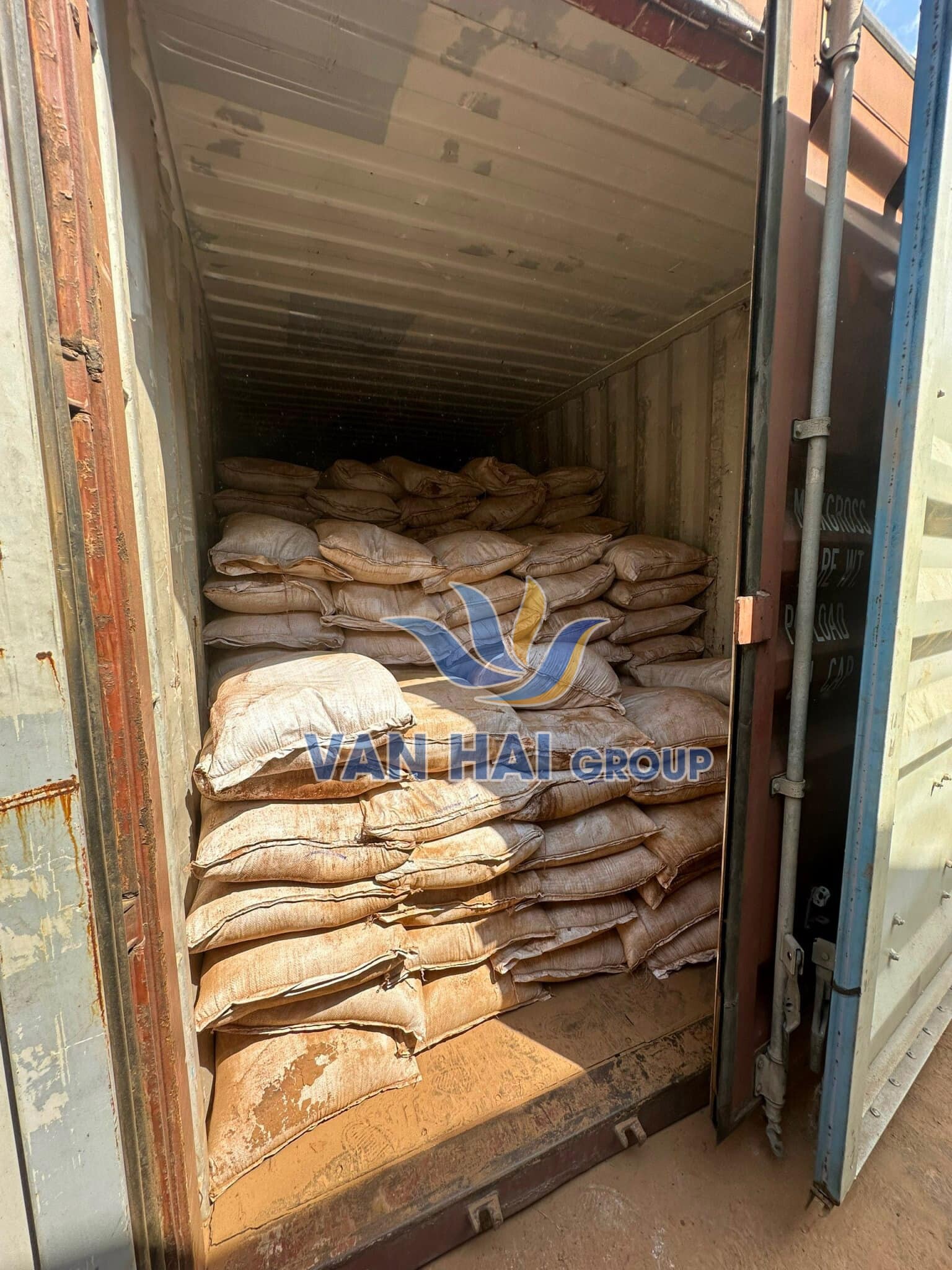 Vạn Hải GROUP 11